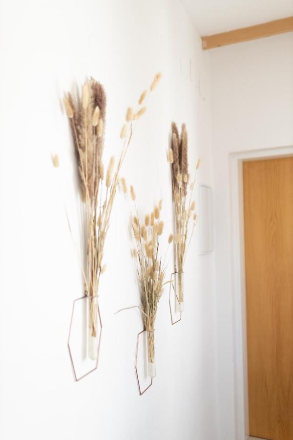 Apartman V Srdci Znojma „Jako Doma“ 兹诺伊莫 外观 照片